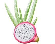 składniki w produktach Mary Kay