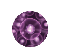 składniki w produktach Mary Kay